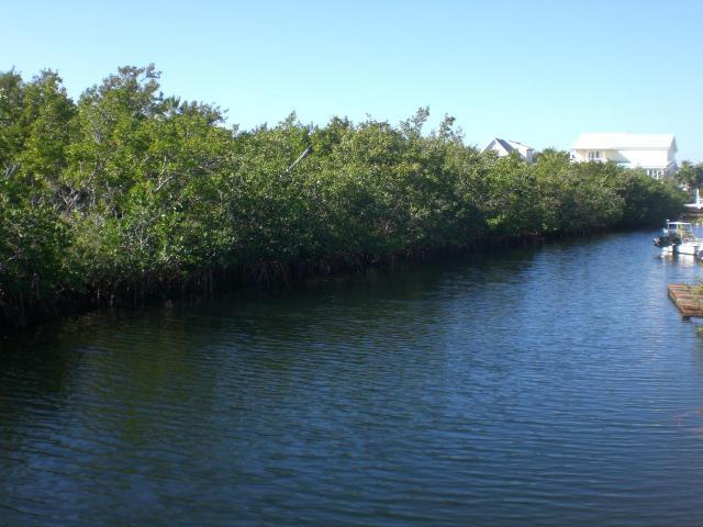 Lot 8 Peg Leg Road Summerland Key, FL 33042 - Photo 2 of 8 20091207150619750152000000-o