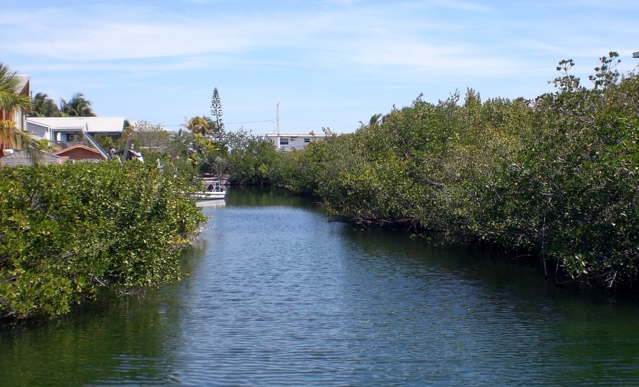 Lot 8 Peg Leg Road Summerland Key, FL 33042 - Photo 3 of 8 CIMG5071
