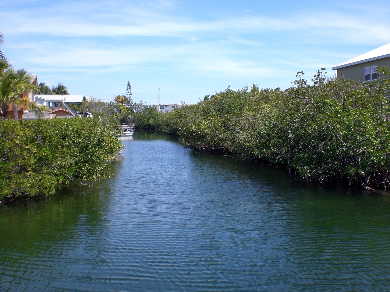 Lot 8 Peg Leg Road Summerland Key, FL 33042 - Photo 4 of 8 CIMG5072