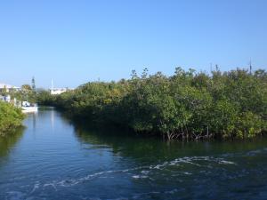 Lot 8 Peg Leg Road Summerland Key, FL 33042 - Photo 5 of 8 20130208142551039676000000