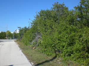 Lot 8 Peg Leg Road Summerland Key, FL 33042 - Photo 6 of 8 20130208142551443080000000