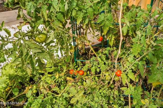 $765,000 | 1642 Leeward Lane, Neptune Beach, FL 32266