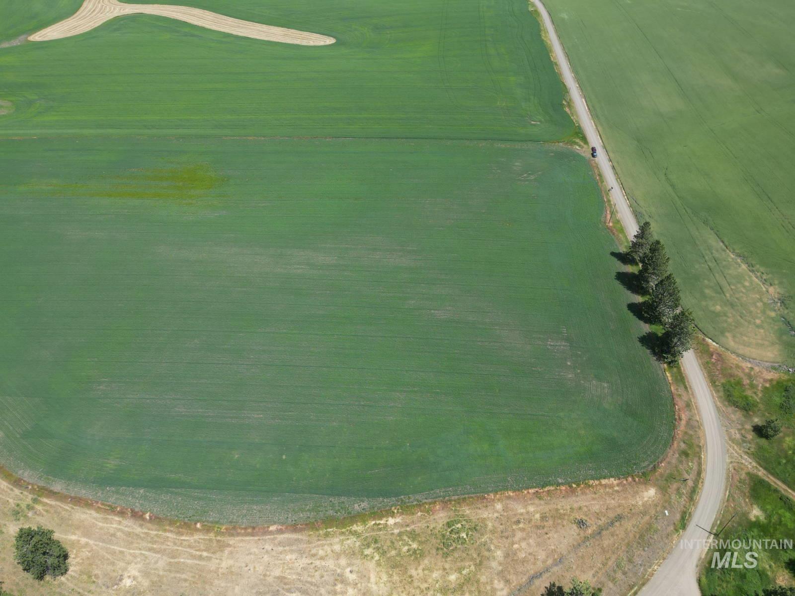 Lot 2 Herrick Road Craigmont, ID 83523 - Photo 7 of 7