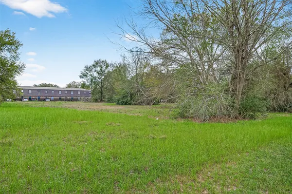 a view of yard with green space