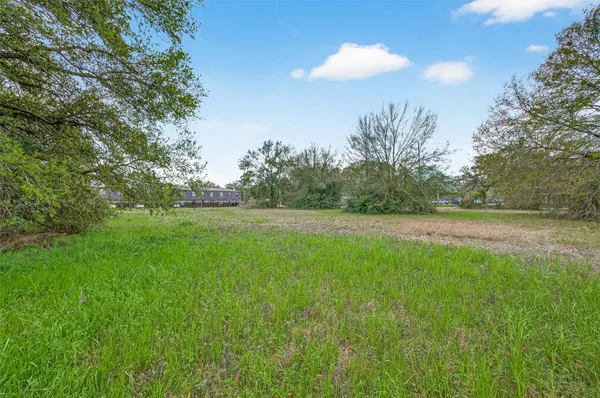 a view of a green yard