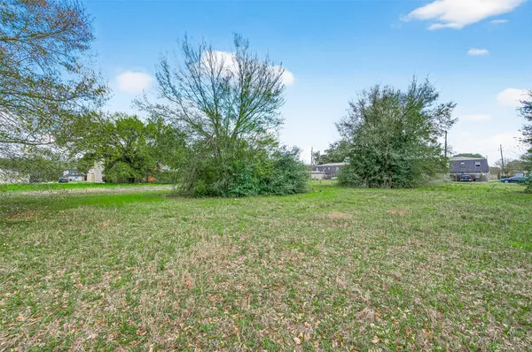a view of a garden with trees