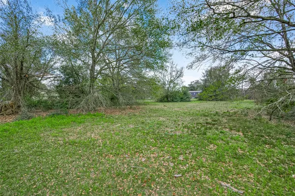 a big yard with lots of green space and deers