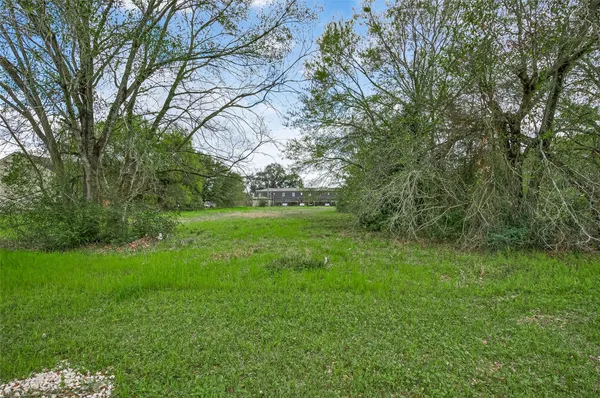 a view of green field with trees in the background