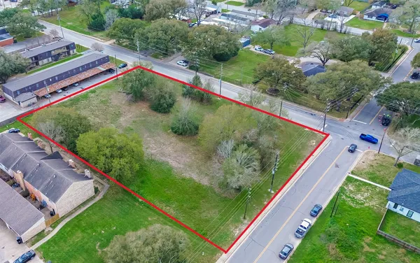 a view of a yard with a lush green forest