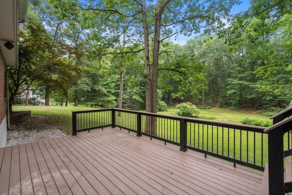 298 Marked Tree Road Needham, MA 02492 - Photo 22 of 29