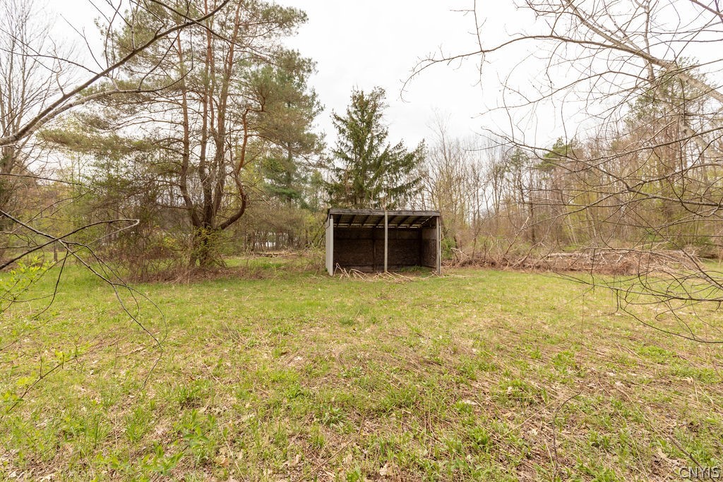 817 Fyler Road Kirkville, NY 13082 - Photo 50 of 50