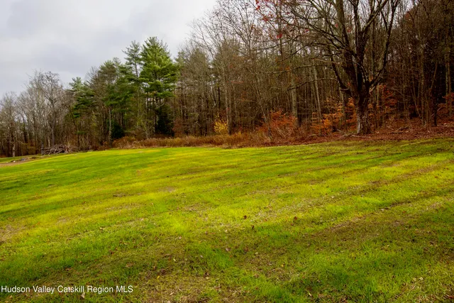 a view of a field with trees in the background
