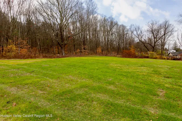 a view of a field with trees in the background