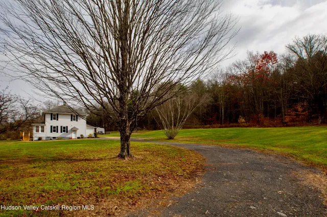 a view of a trees in a park