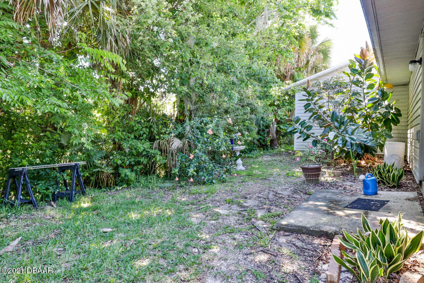 2629 Mango Tree Drive Edgewater, FL 32141 - Photo 25 of 30 a backyard of a house with lots of green space