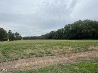 1484 Brinkley Road Dunn, NC 28334 - Photo 18 of 20