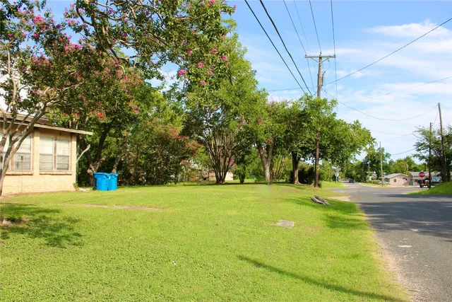 a view of a yard with a trees