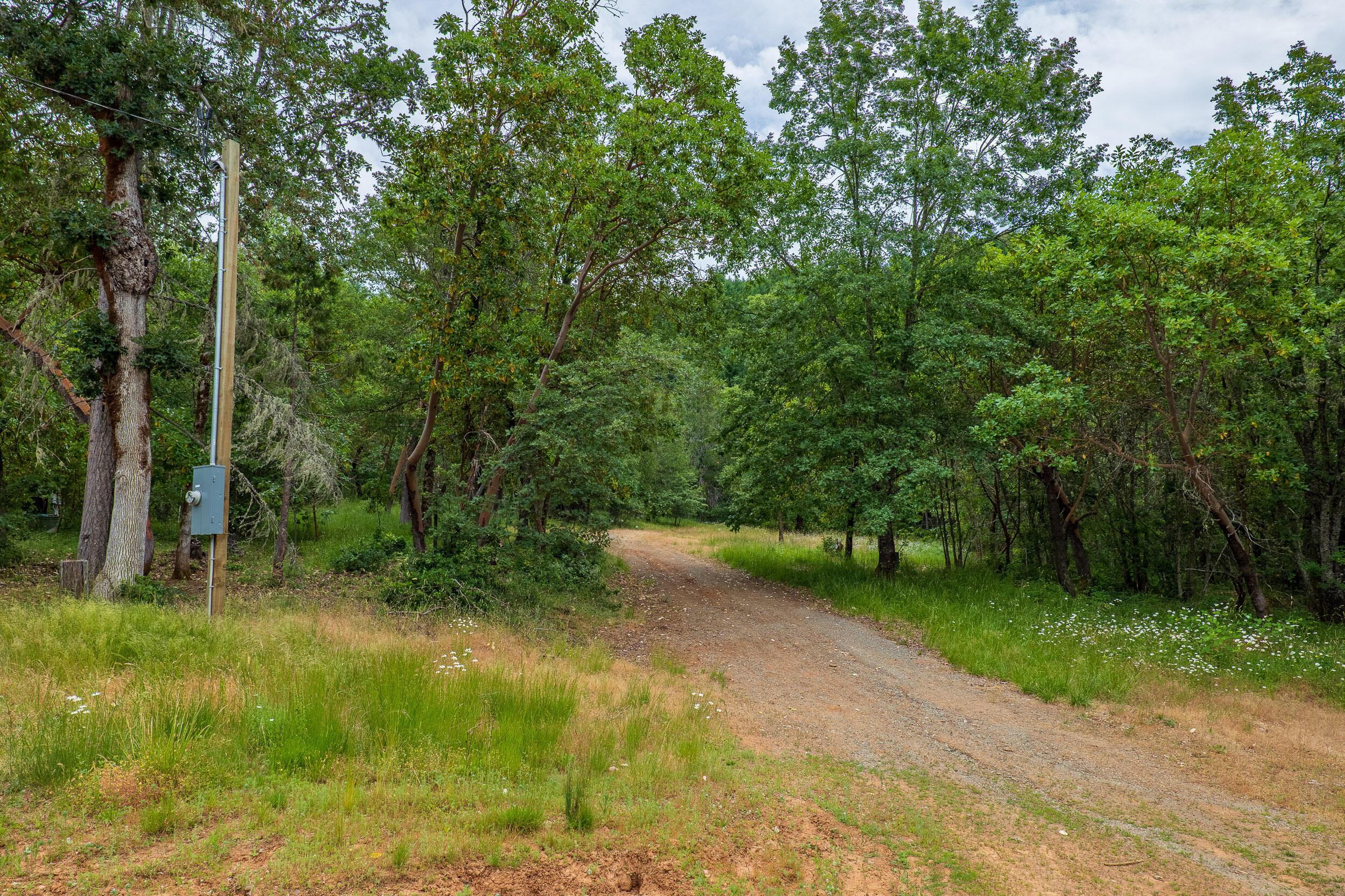 1251 Warner Road Wolf Creek, OR 97497 - Photo 2 of 17 1251WarnerRd-002