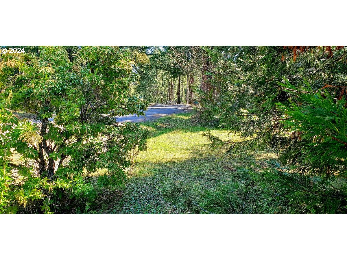 49220 Mountain View Road Oakridge, OR 97463 - Photo 2 of 21