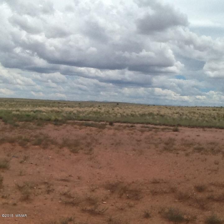 8489 Woodruff Hay Hollow Road Snowflake, AZ 85937 - Photo 2 of 4