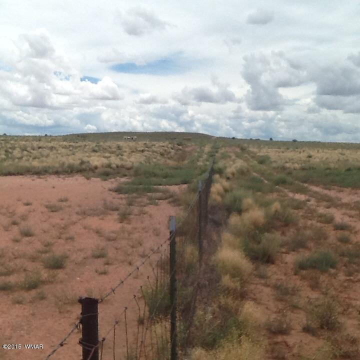 8489 Woodruff Hay Hollow Road Snowflake, AZ 85937 - Photo 3 of 4