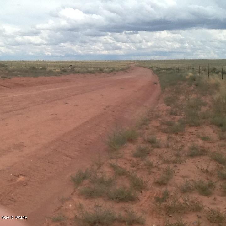 8489 Woodruff Hay Hollow Road Snowflake, AZ 85937 - Photo 4 of 4