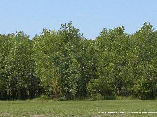 8675 Day Road Monroe, MI 48162 - Photo 2 of 6 739387-1.JPG