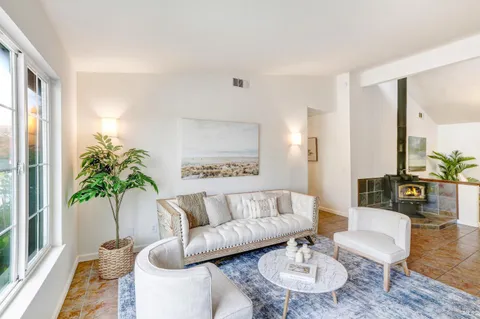 a living room with furniture and a potted plant