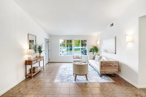 a living room with furniture a rug and a potted plant