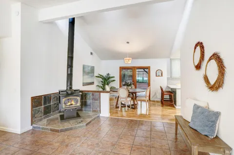 a living room with furniture a dining table and a potted plant