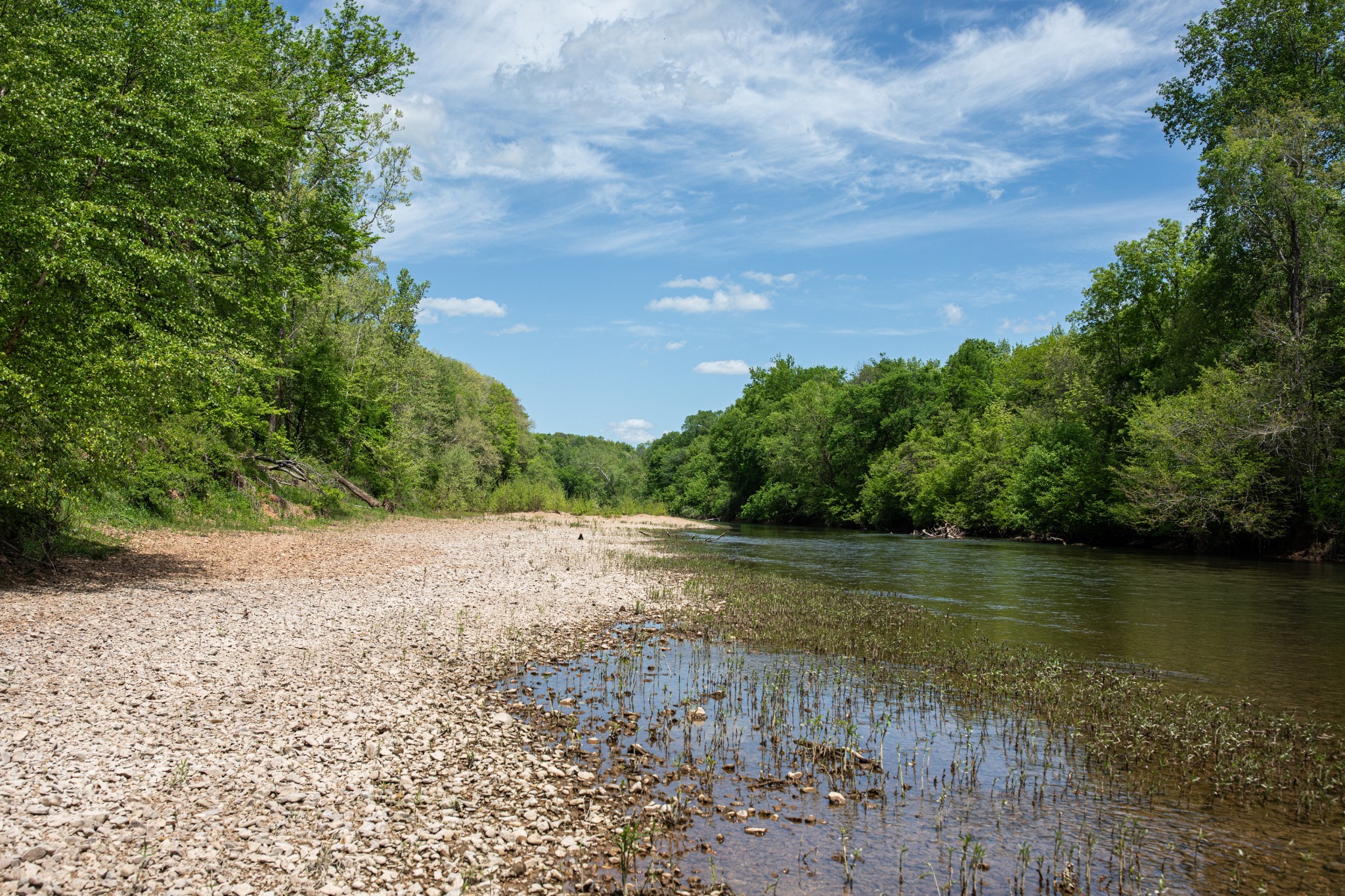 599 Horseshoe Bend Road Linden, TN 37096 - Photo 25 of 51