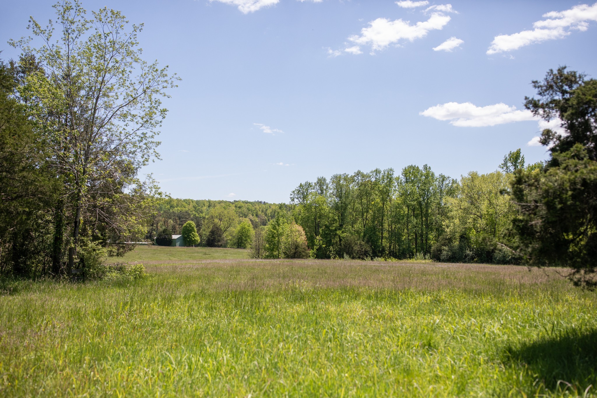 599 Horseshoe Bend Road Linden, TN 37096 - Photo 30 of 51