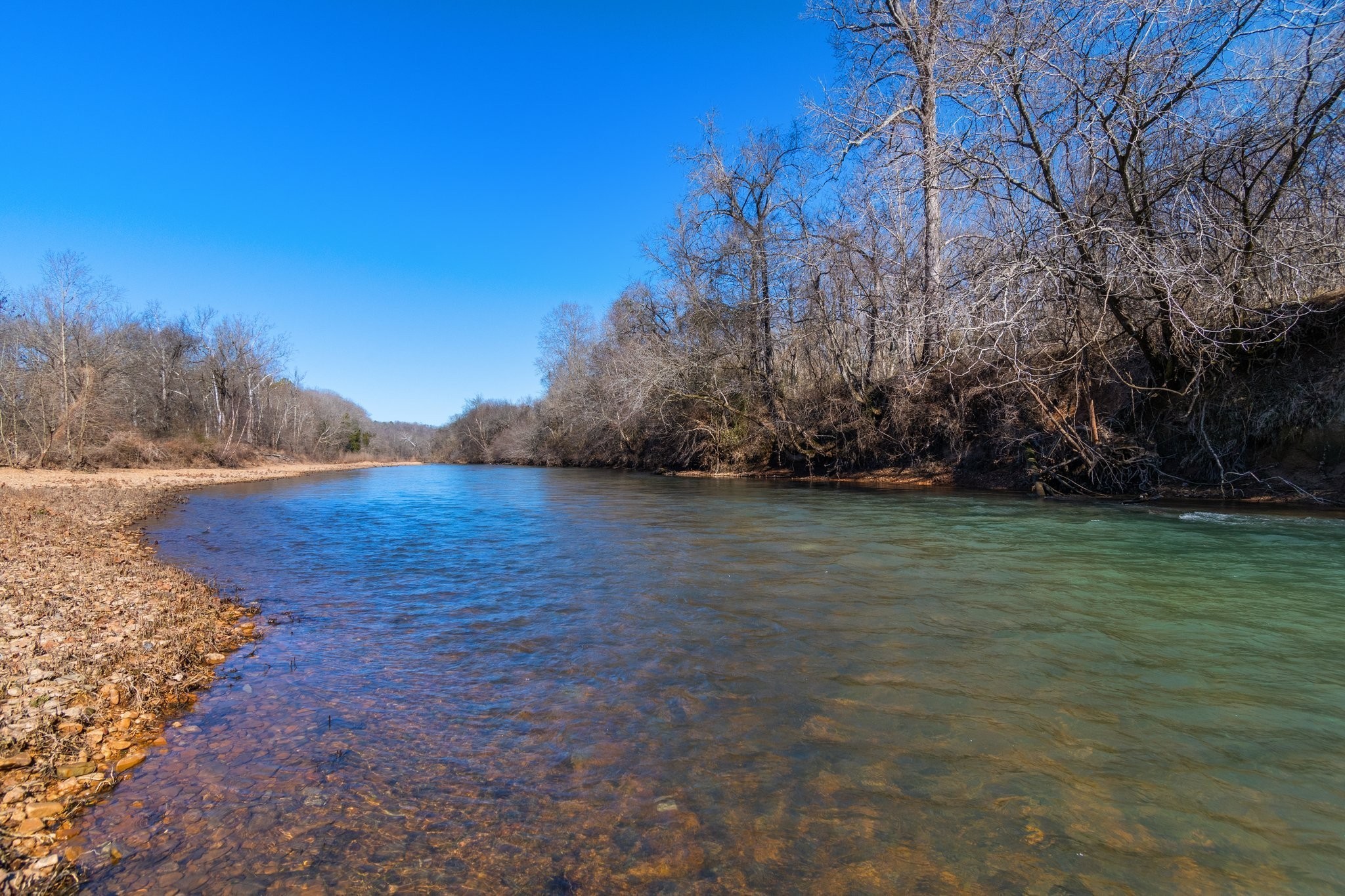 599 Horseshoe Bend Road Linden, TN 37096 - Photo 3 of 51