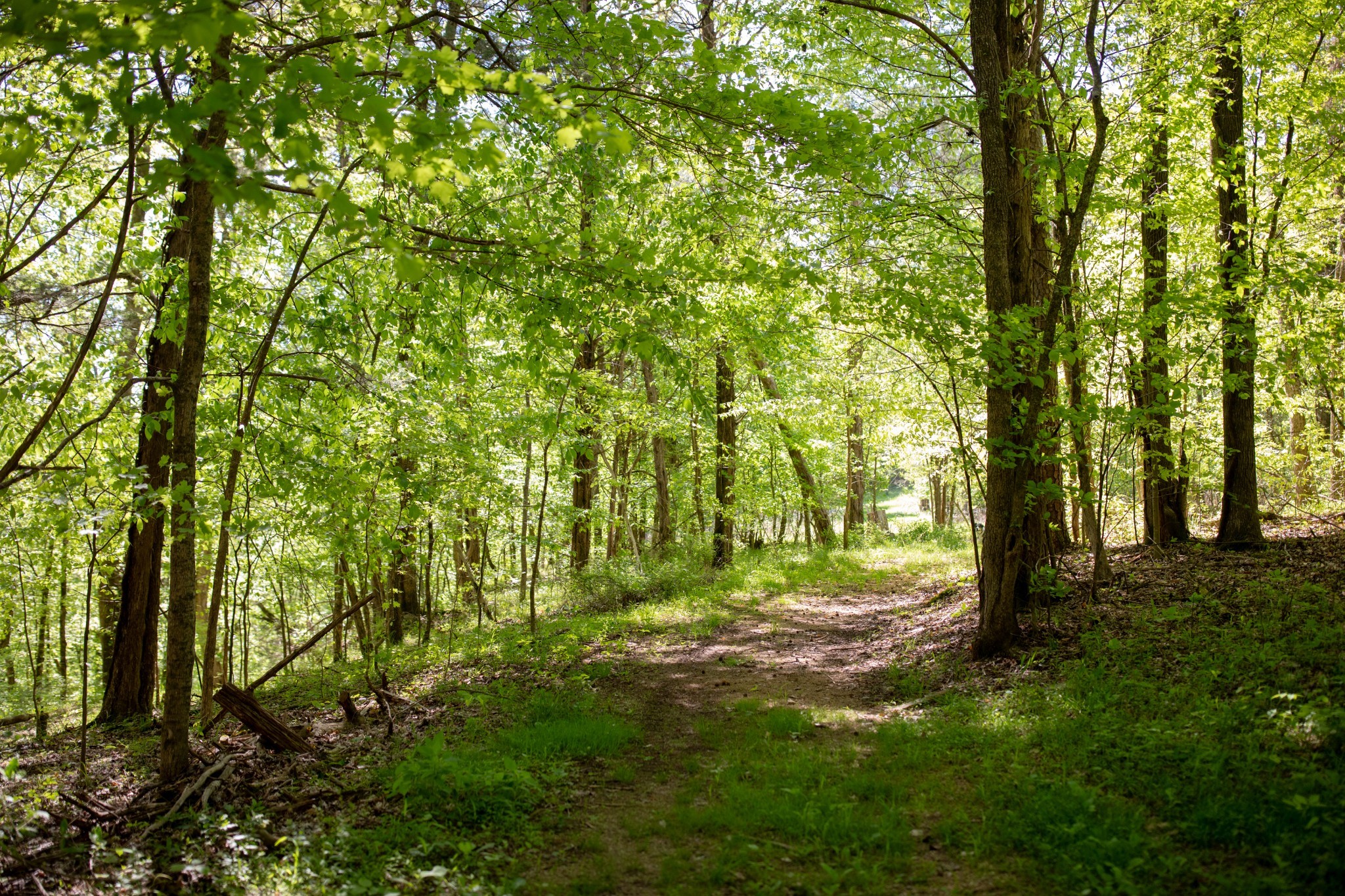 599 Horseshoe Bend Road Linden, TN 37096 - Photo 38 of 51