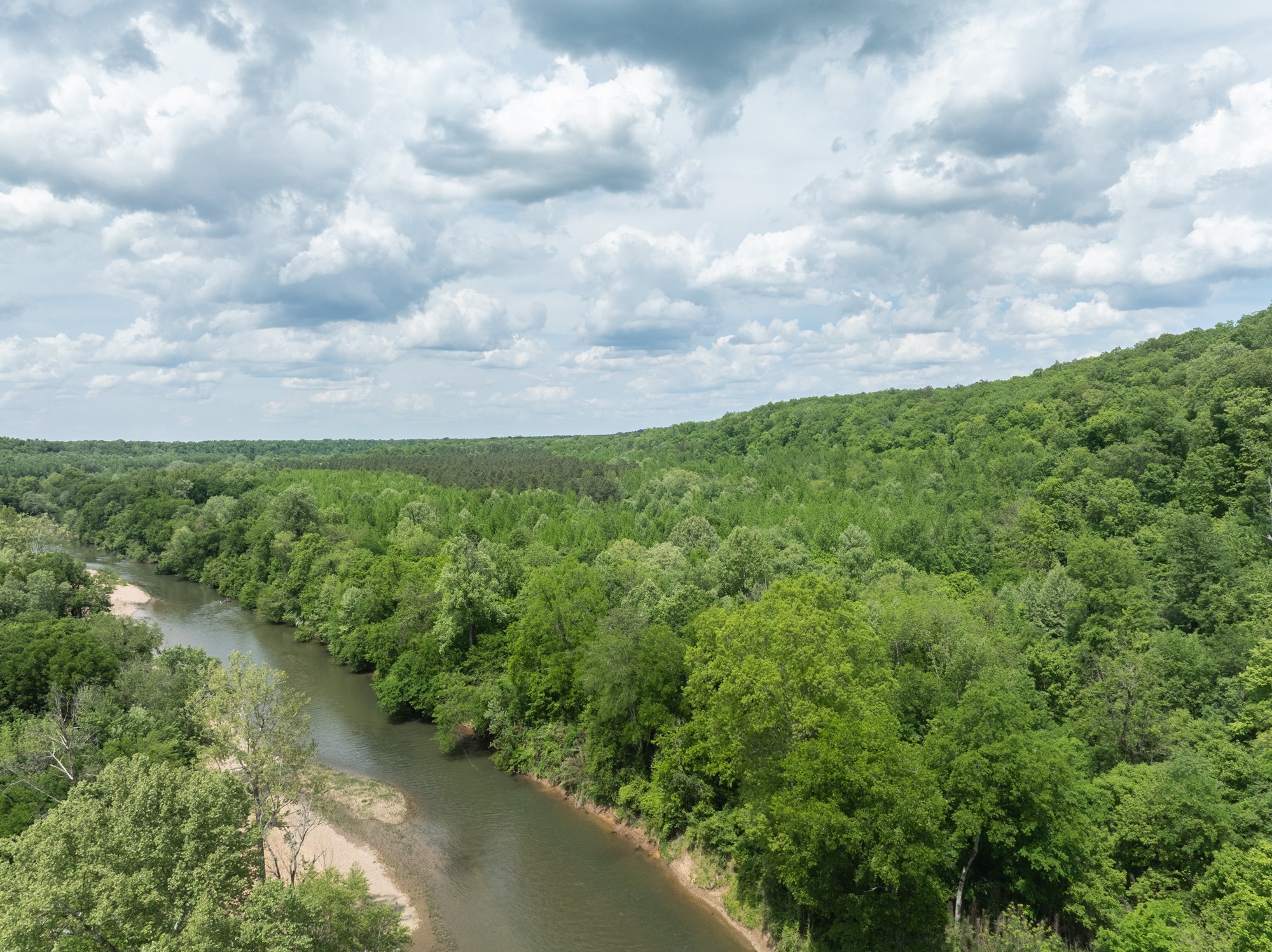 599 Horseshoe Bend Road Linden, TN 37096 - Photo 39 of 51