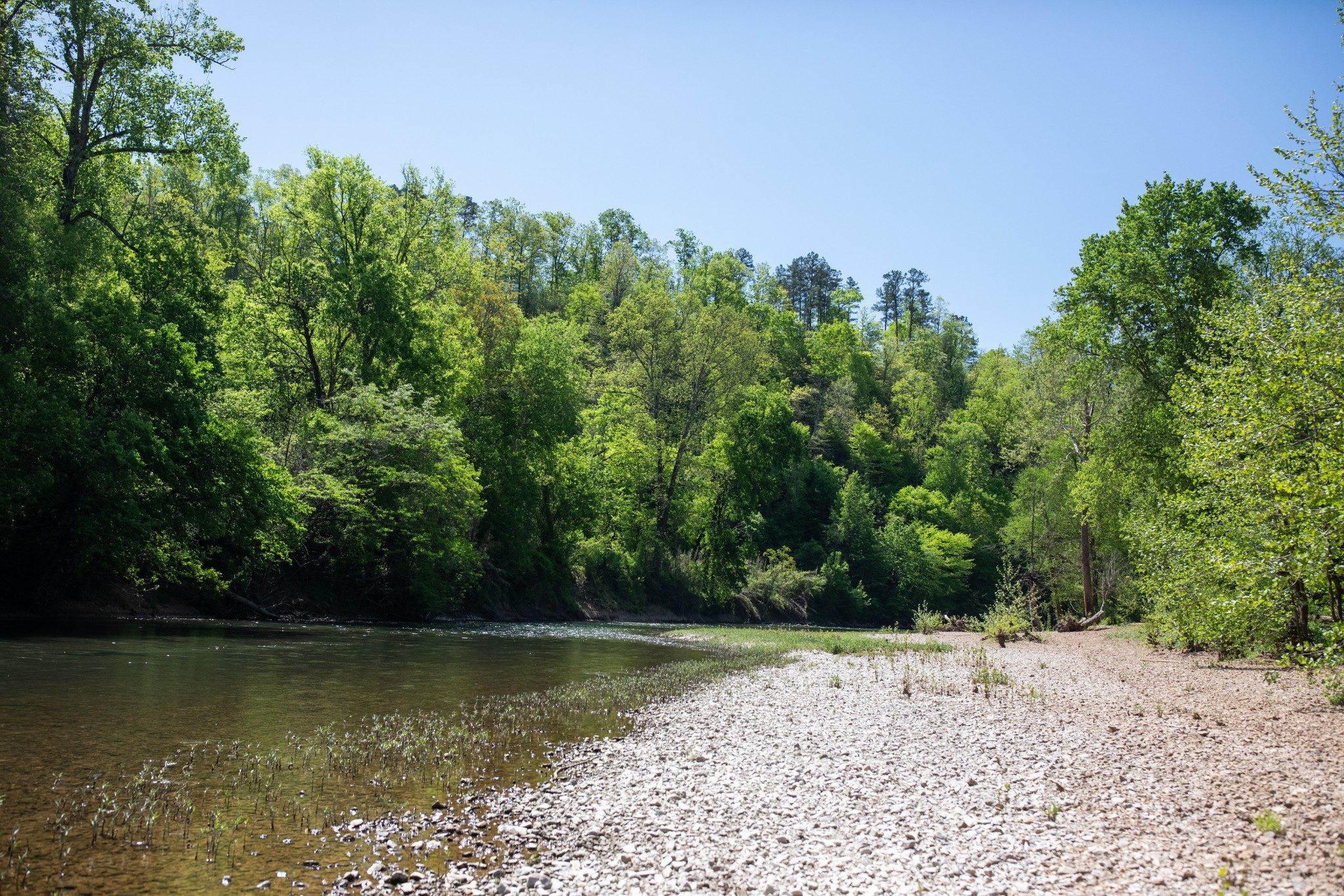 599 Horseshoe Bend Road Linden, TN 37096 - Photo 40 of 51