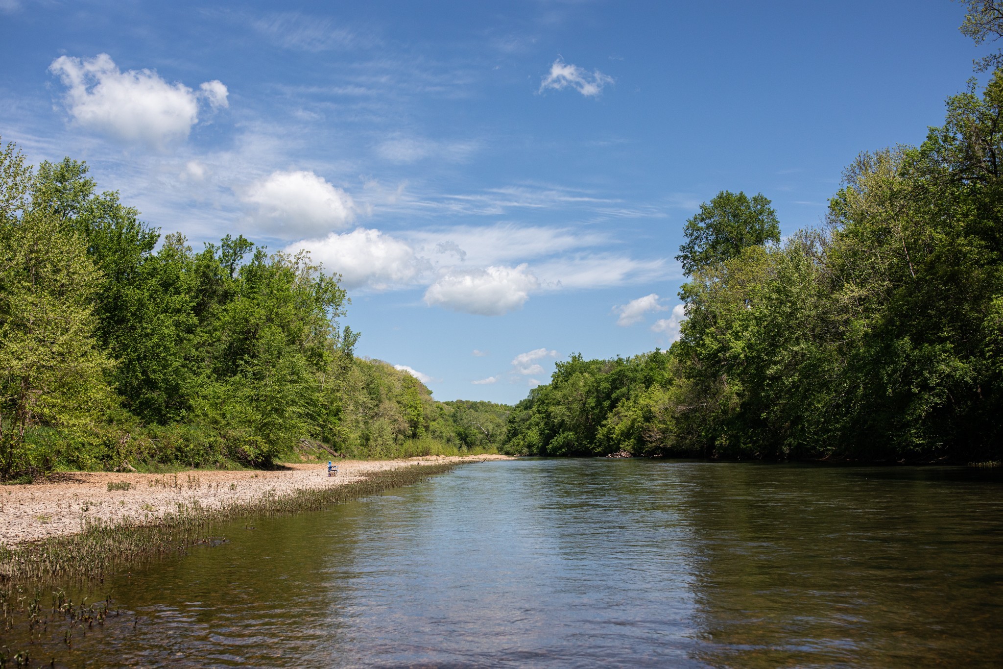 599 Horseshoe Bend Road Linden, TN 37096 - Photo 4 of 51