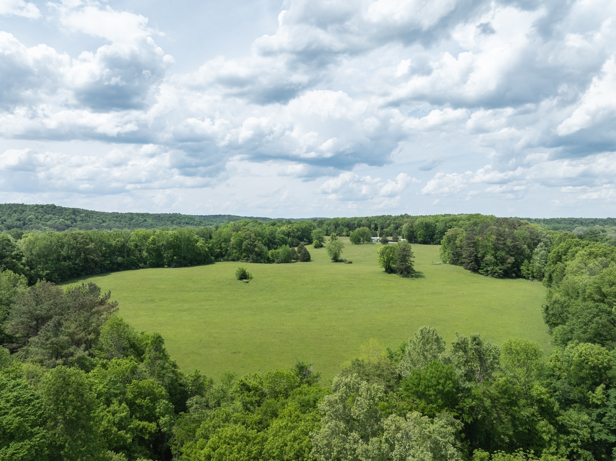 599 Horseshoe Bend Road Linden, TN 37096 - Photo 44 of 51