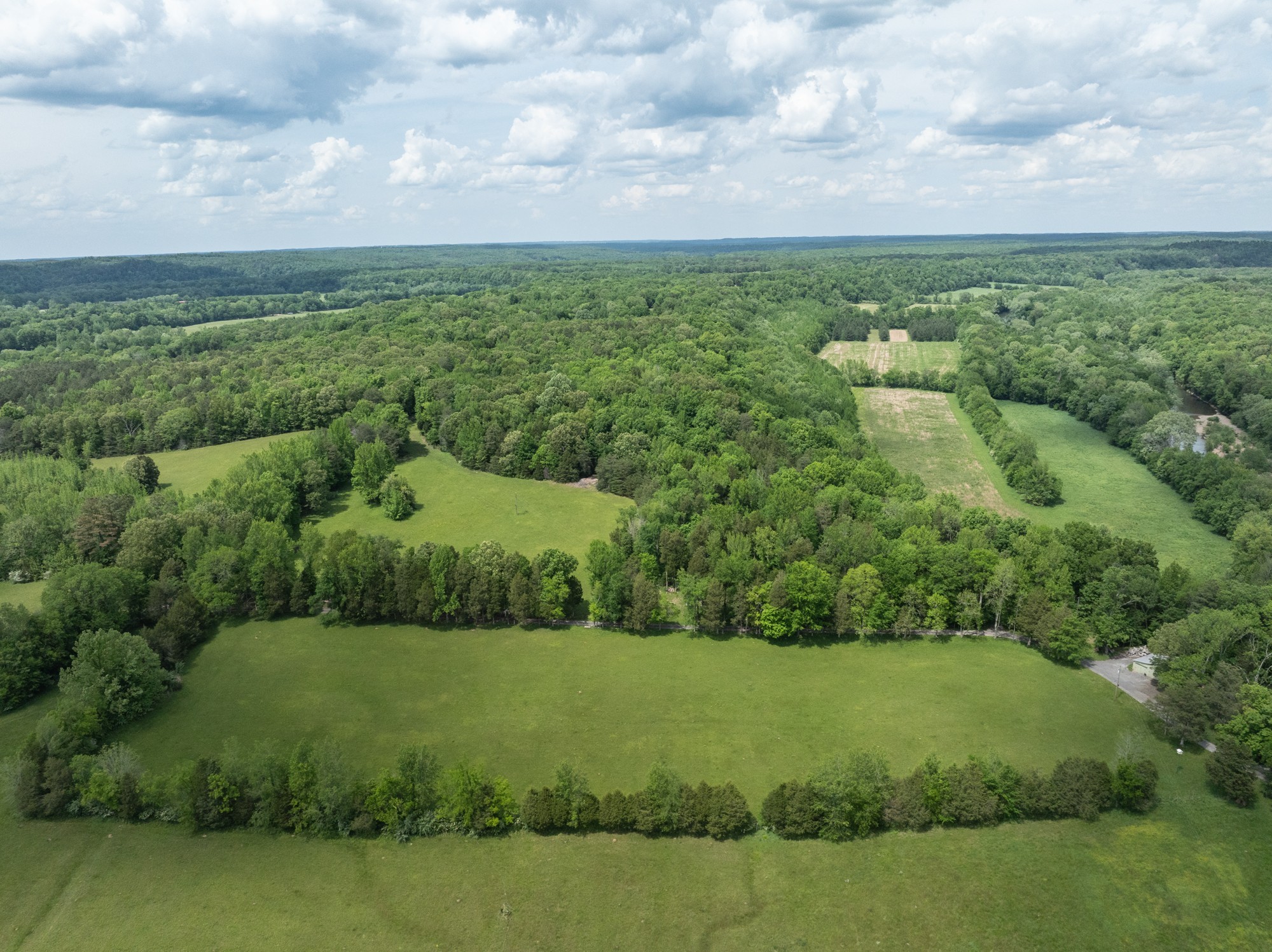 599 Horseshoe Bend Road Linden, TN 37096 - Photo 45 of 51