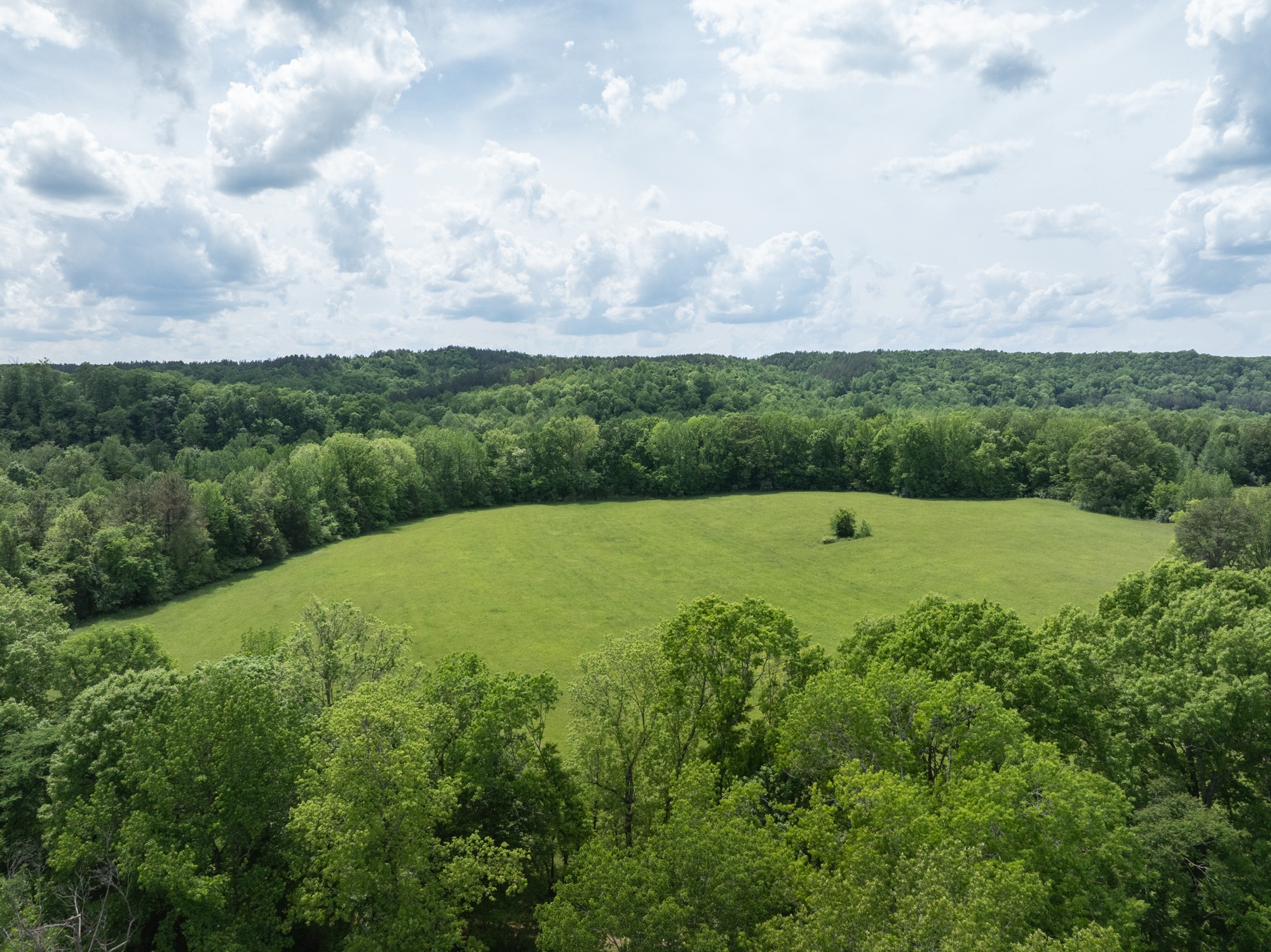 599 Horseshoe Bend Road Linden, TN 37096 - Photo 51 of 51