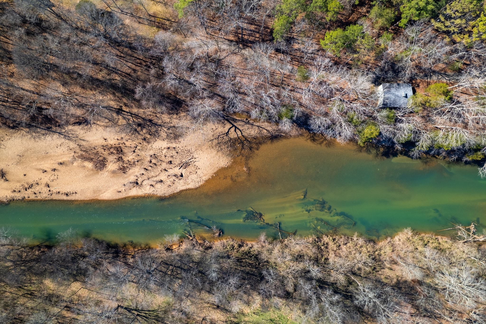 599 Horseshoe Bend Road Linden, TN 37096 - Photo 6 of 51