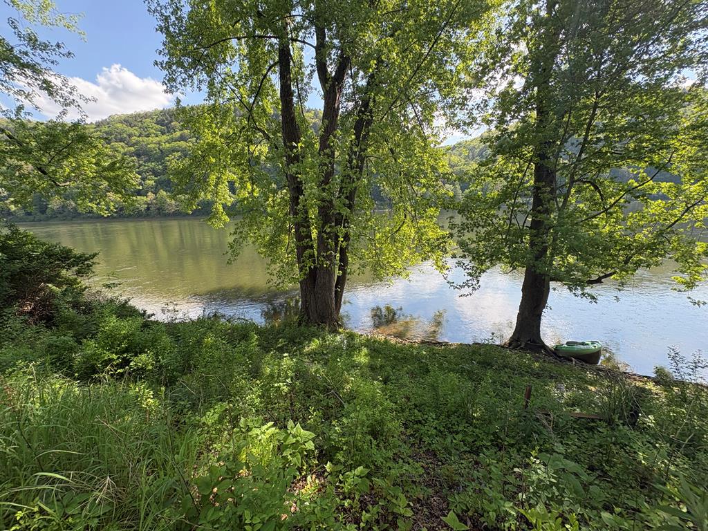1828 Allegheny Boulevard Reno, PA 16343 - Photo 23 of 24 a view of a garden with a lake