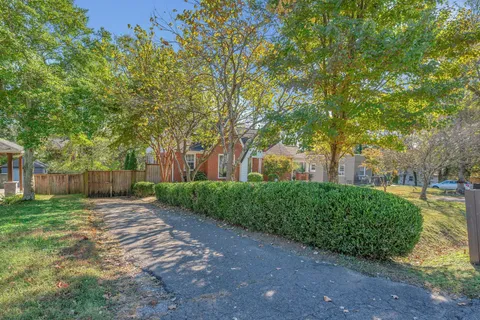 a view of a yard with plants and large trees