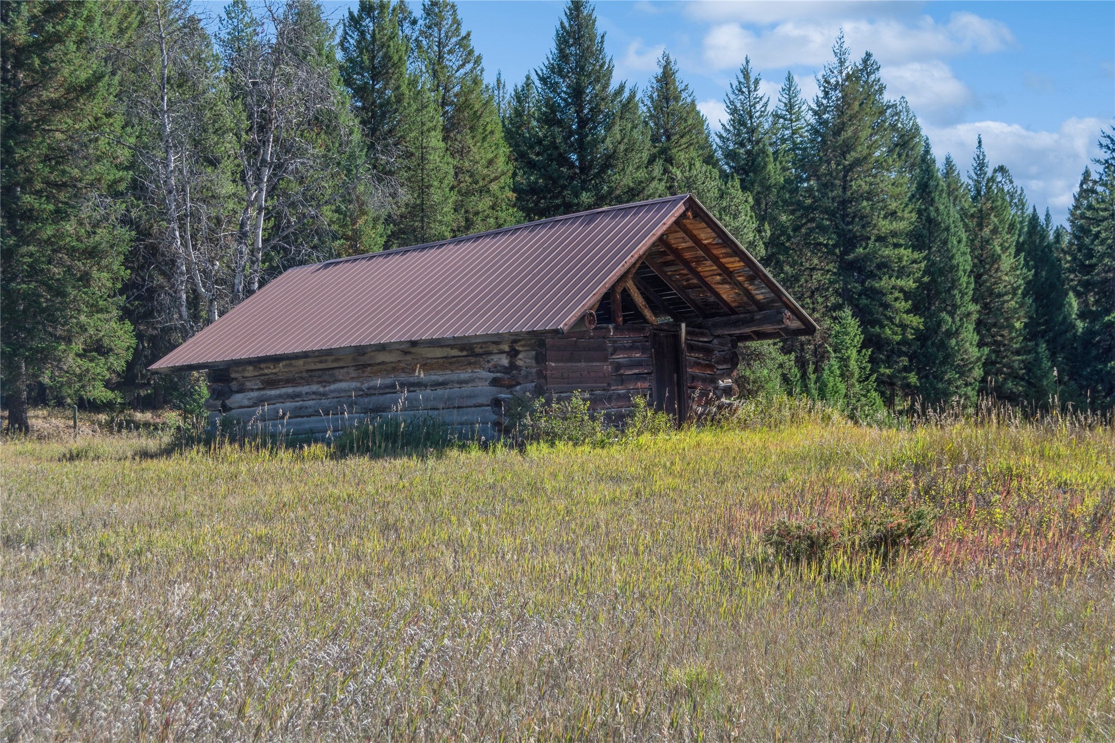 3217 Loon Lake Road Trego, MT 59934 - Photo 21 of 39 Gallery Image 21