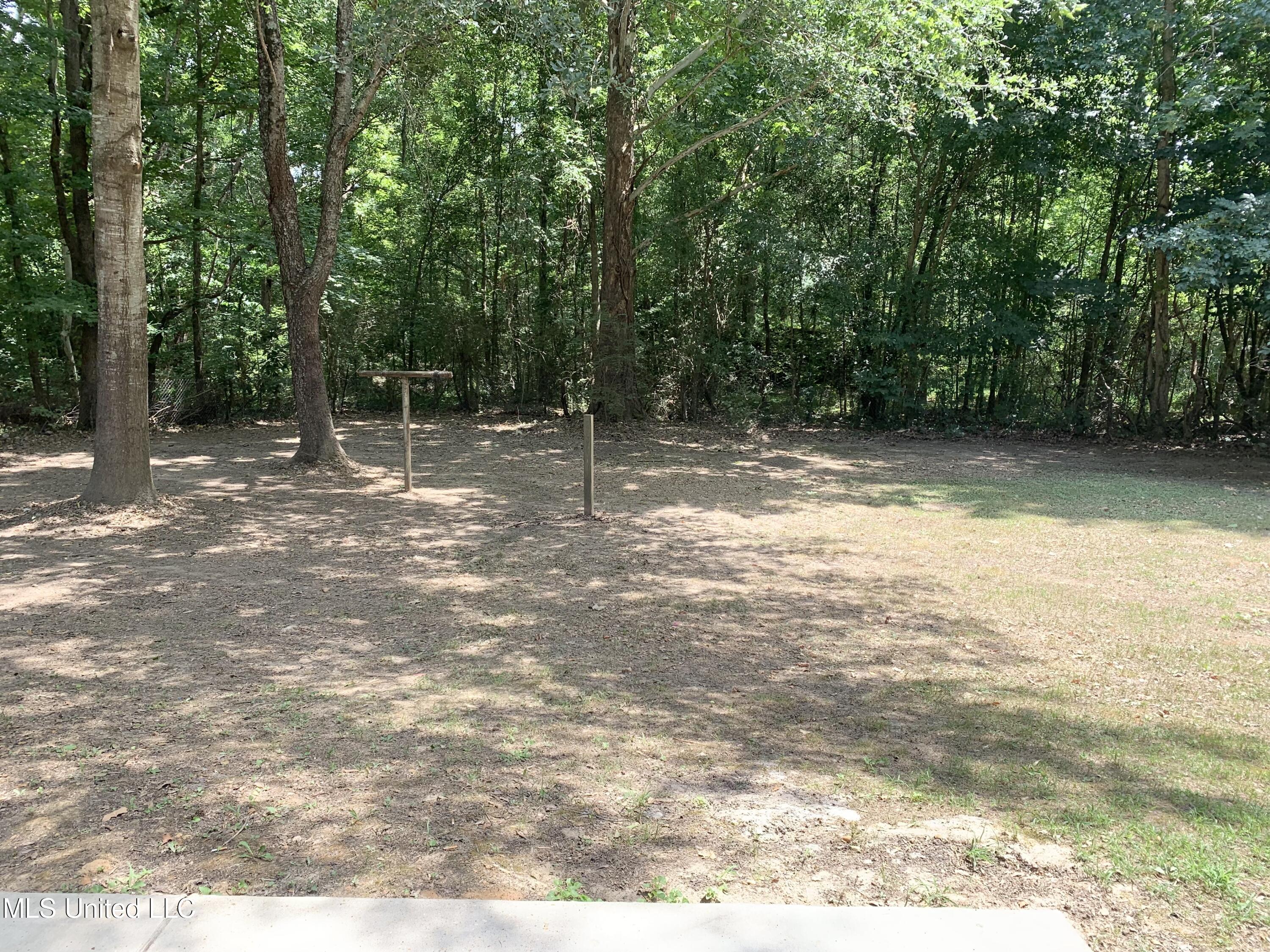 14181 Holly Springs Road Byhalia, MS 38611 - Photo 35 of 38 Back yard