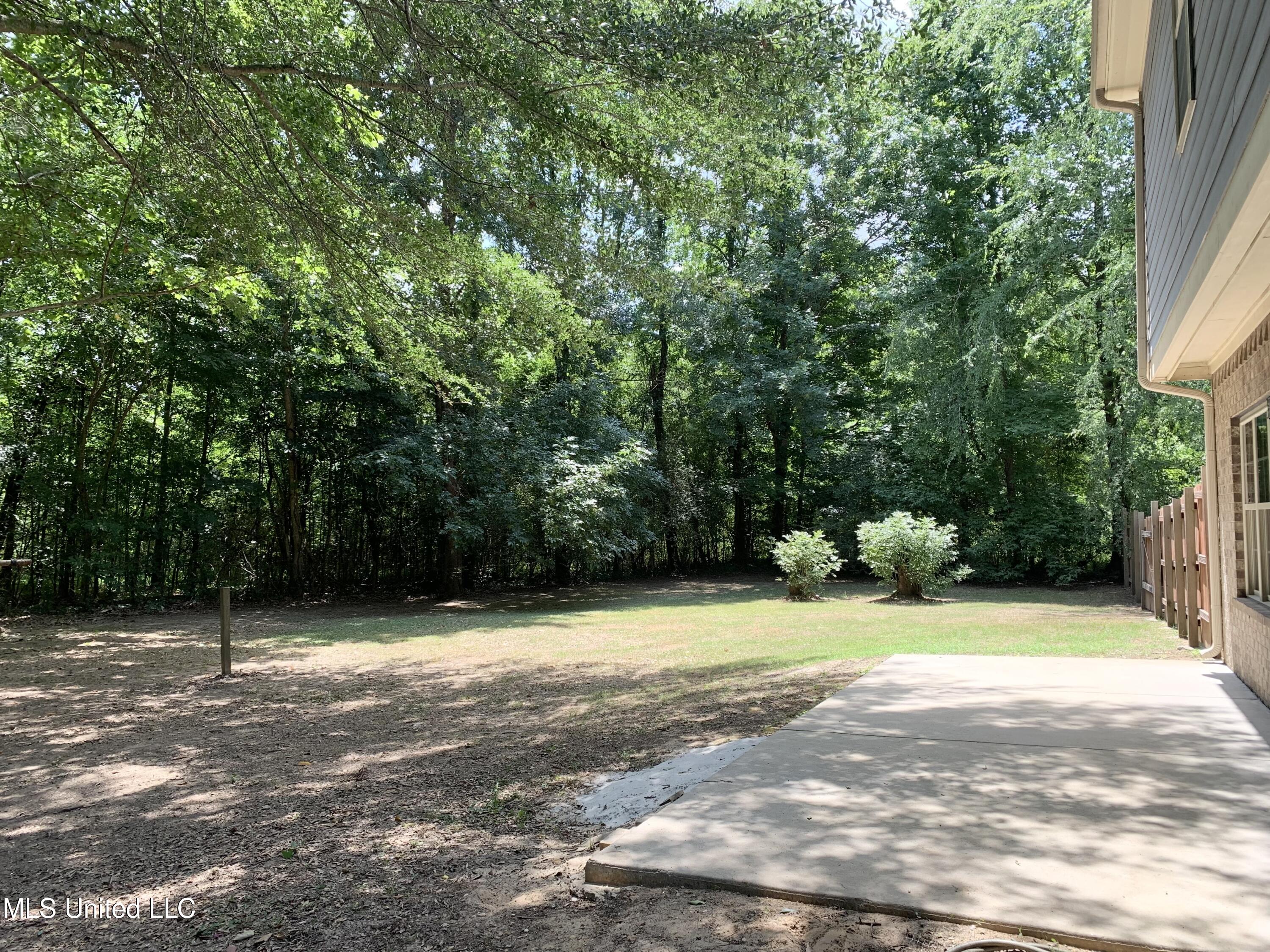 14181 Holly Springs Road Byhalia, MS 38611 - Photo 36 of 38 Back Yard