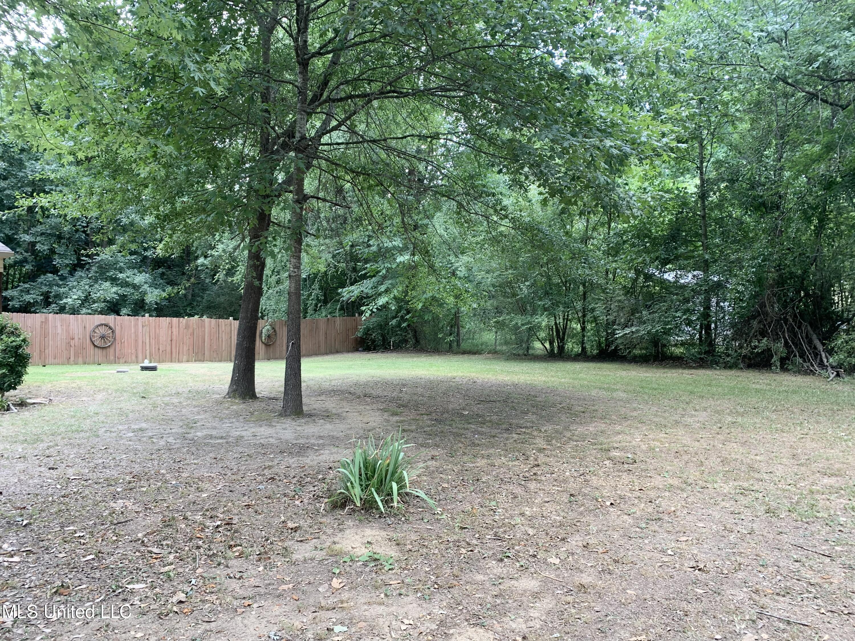 14181 Holly Springs Road Byhalia, MS 38611 - Photo 37 of 38 Front yard