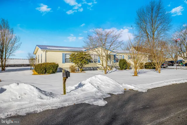 a view of outdoor space yard and street