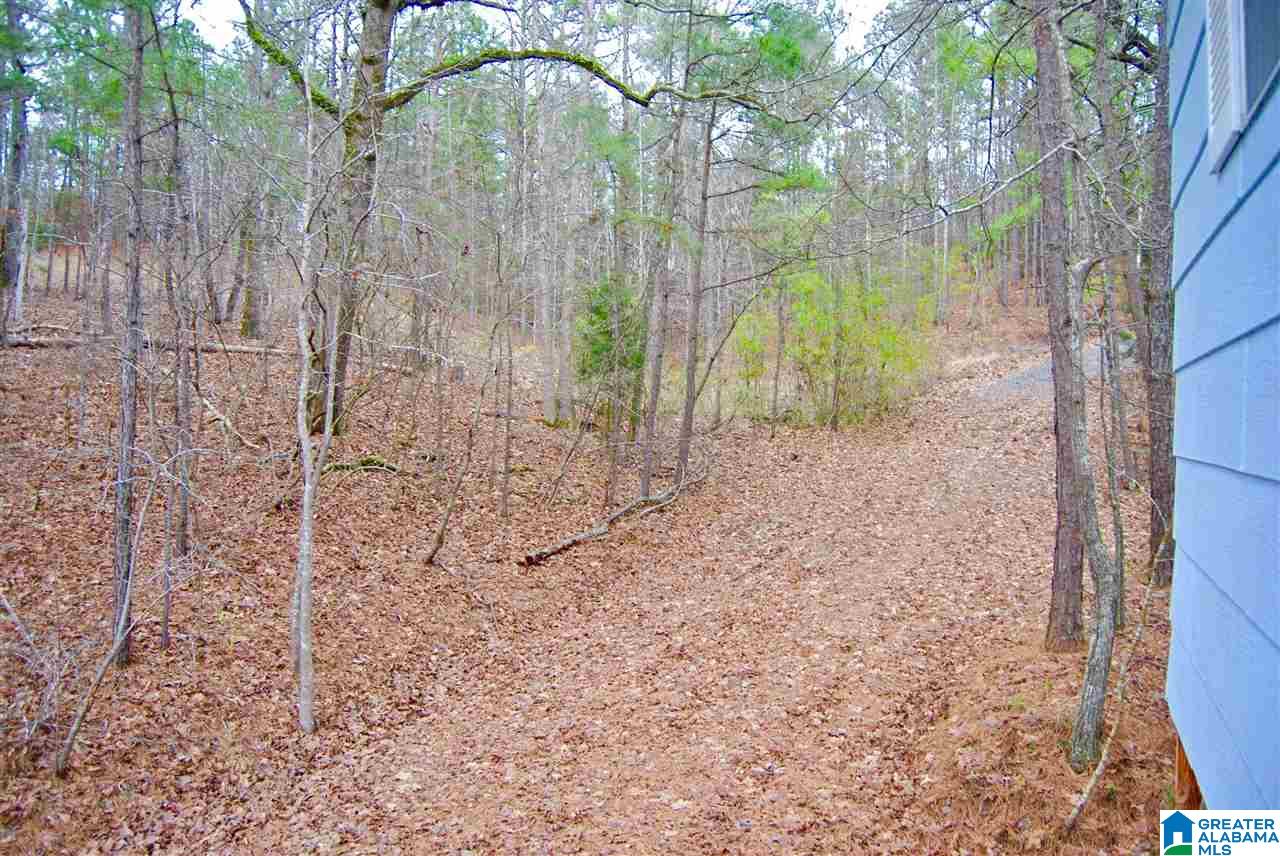 1687 Lands End Road Sylacauga, AL 35151 - Photo 24 of 24
