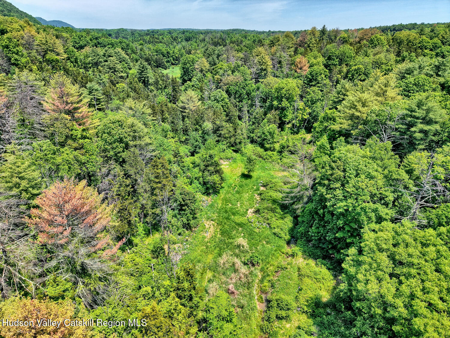 760 Vedder Mountain Road Catskill, NY 12414 - Photo 77 of 80 DJI_20260604125832_0413_D_4_D_5_D_easyHD